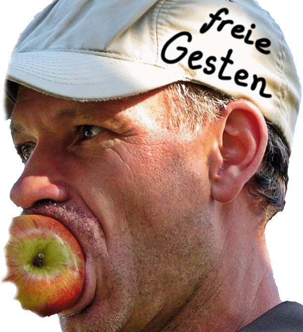 hab liboki mit freie Gesten Libokisierer